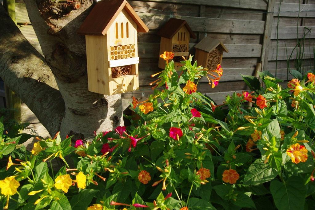 Bed and Breakfast O'Maxethel Soullans Zewnętrze zdjęcie